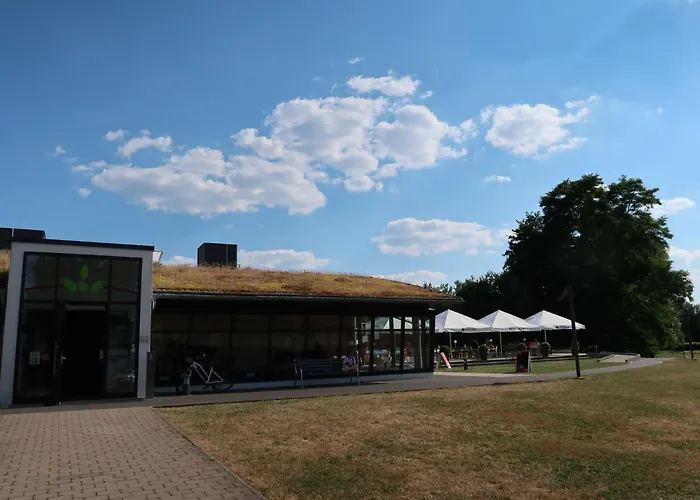 Tindy By Interhome Frielendorf